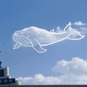 国内外中文字幕无码视频
